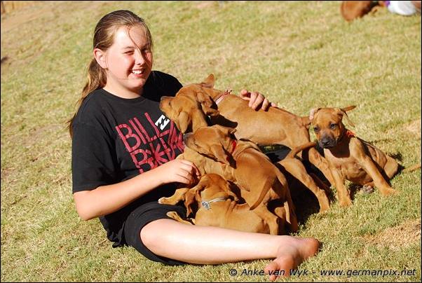 I-litter - 46 days old