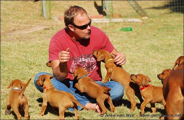 I-litter - 46 days old